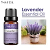 SY5522-01Lavender