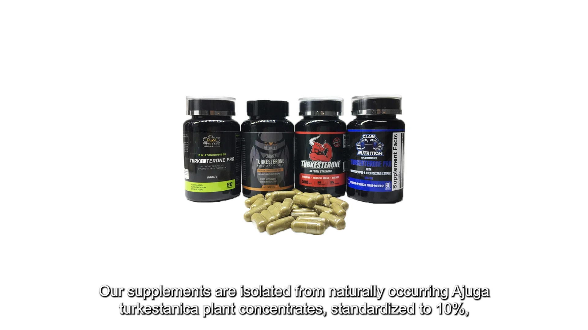 Focusherb Ajuga Turkestanica Extract 500mg Turkesterone Capsules 10