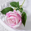 Rosa bianco