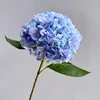 9# Azul