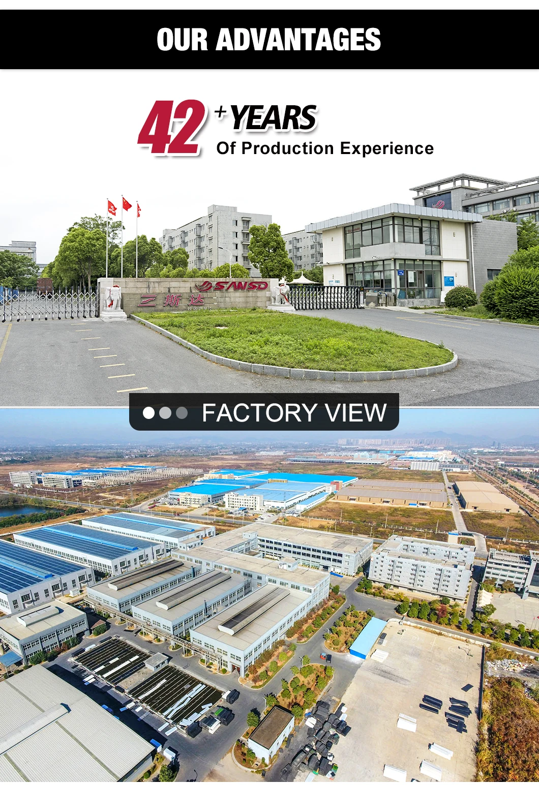 Company overview