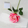 Large velvet, light pink