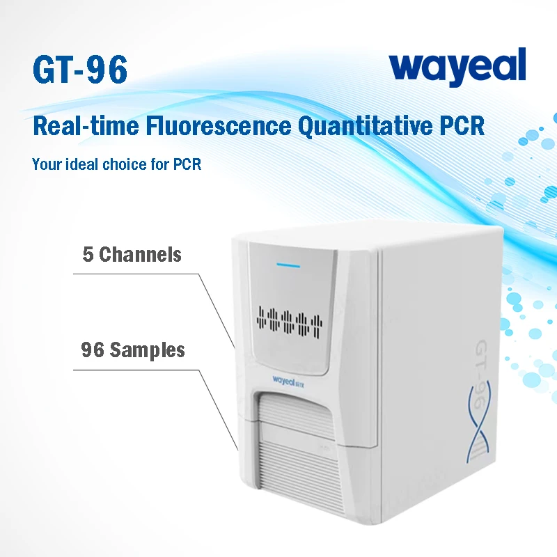 Wayeal Gt96 96 Well Pcr Plates Realtime Fluorescence Quantitative Pcr