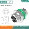 M8-B-5 hembra M10*0,75