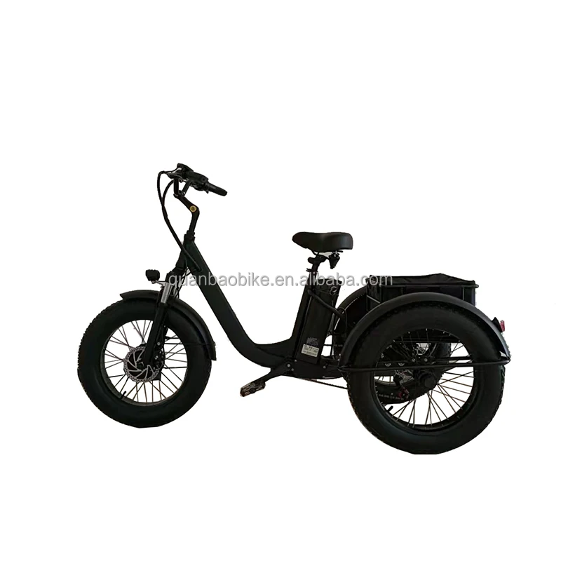 3 Wheel Electric Tricycle Tadpole Recumbent Trike /1000w Electric Trike