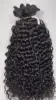 italy curly