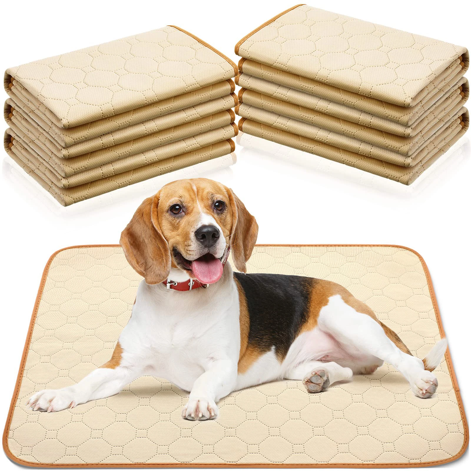 Fast Absorbing Dog Pet Pad