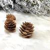 brown 2-3 pine flowers