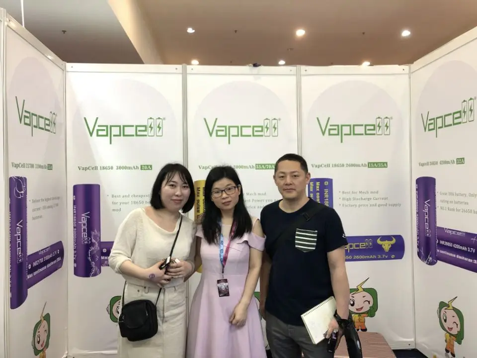 Professional Battery Tester Factory Price Zketch Ebca40l Lifepo4