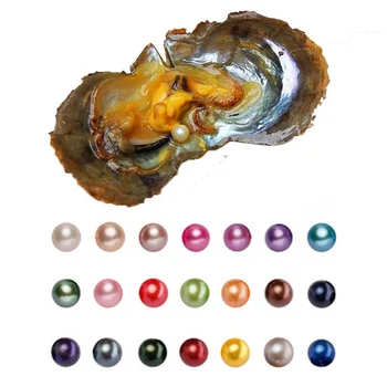 Seawater Akoya Pearl Oyster With 6-8mm AAAA perfect Round Natural Saltwater Pearls