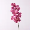 Viola leopardato