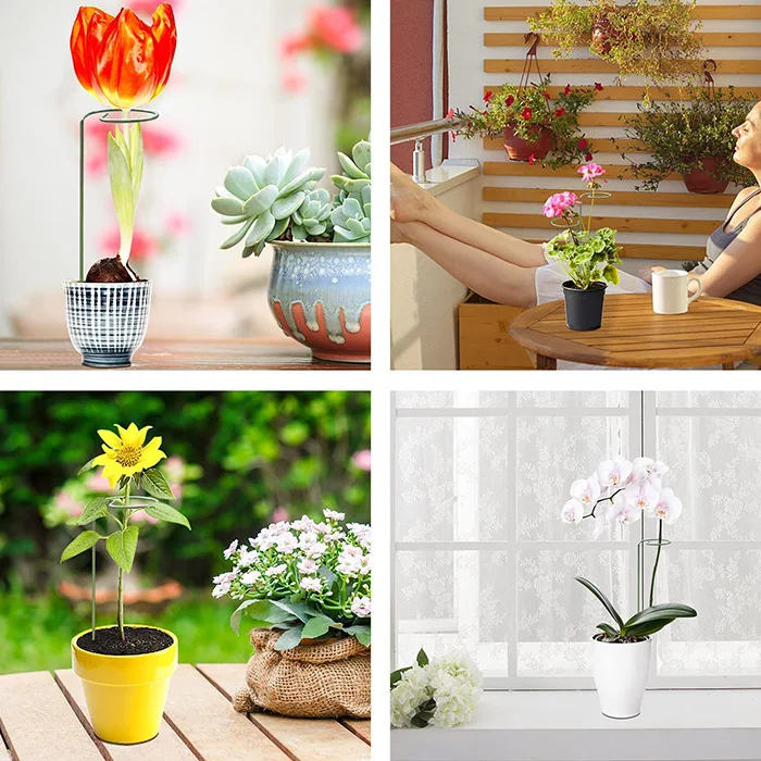 Dropshipping 90cm Plant Support Stakes Garden Plant Stakes Single Stem  Plant Support for Amaryllis Orchid Lily Rose Tomatoes