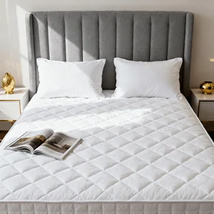CHENHONG Knitted Polyester Bed Protection Pad-Mahjong Mat Style Anti-Dust Mite Plain Design Hotel Use Silk Cotton Filling Dry