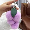 Taro purple