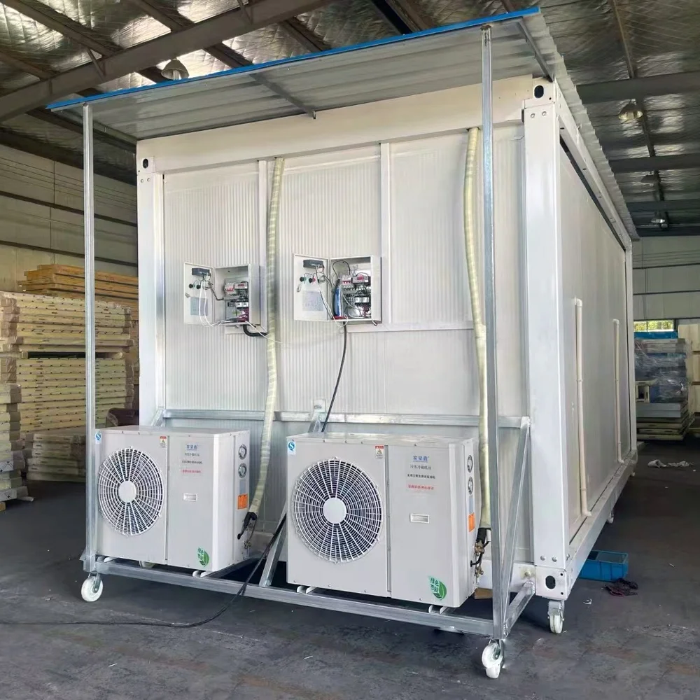 Portable Freezer Container 20ft Cold Storage Room Outside Walking Freezer Container 20ft Cold Storage Room