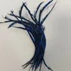 Azul y Negro