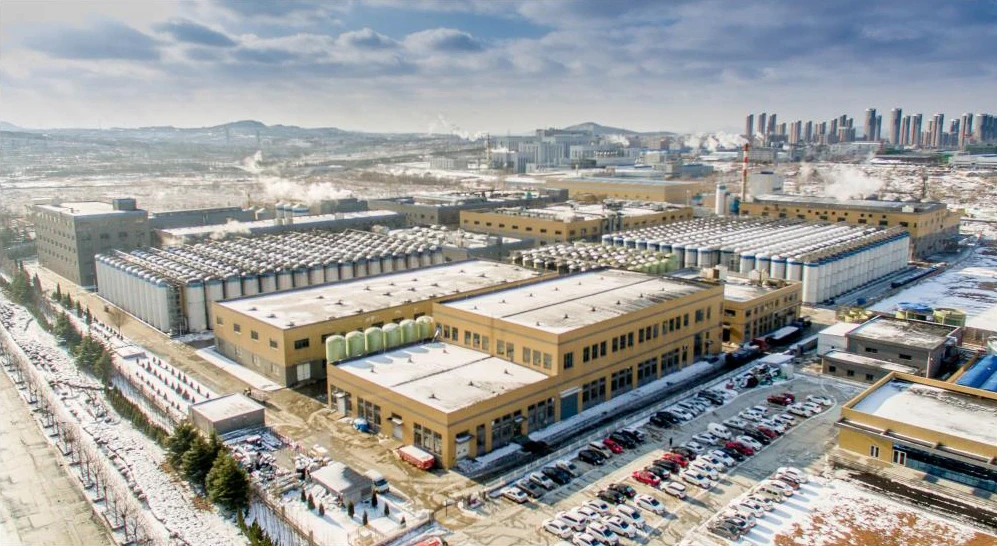 Yantai Samuel Foods Co.Ltd 2