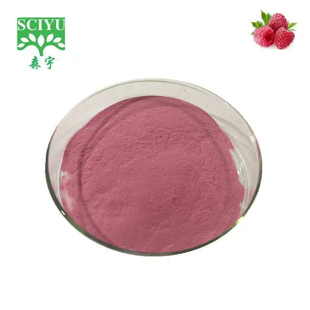 Spray Dried Raspberry Fruit Juice Extract Powder Herbal Leaf Extract in Bag or Drum Packaging Certified Halal