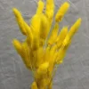 Amarillo