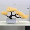 54# Beauty Pine Champagne (12 rectangulares blancos)