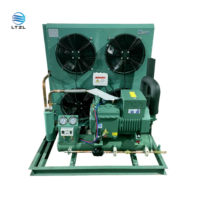 Beef, mutton, chicken, fish, cold room, semi-closed compressor ...