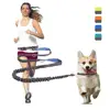 Dog Leash 16