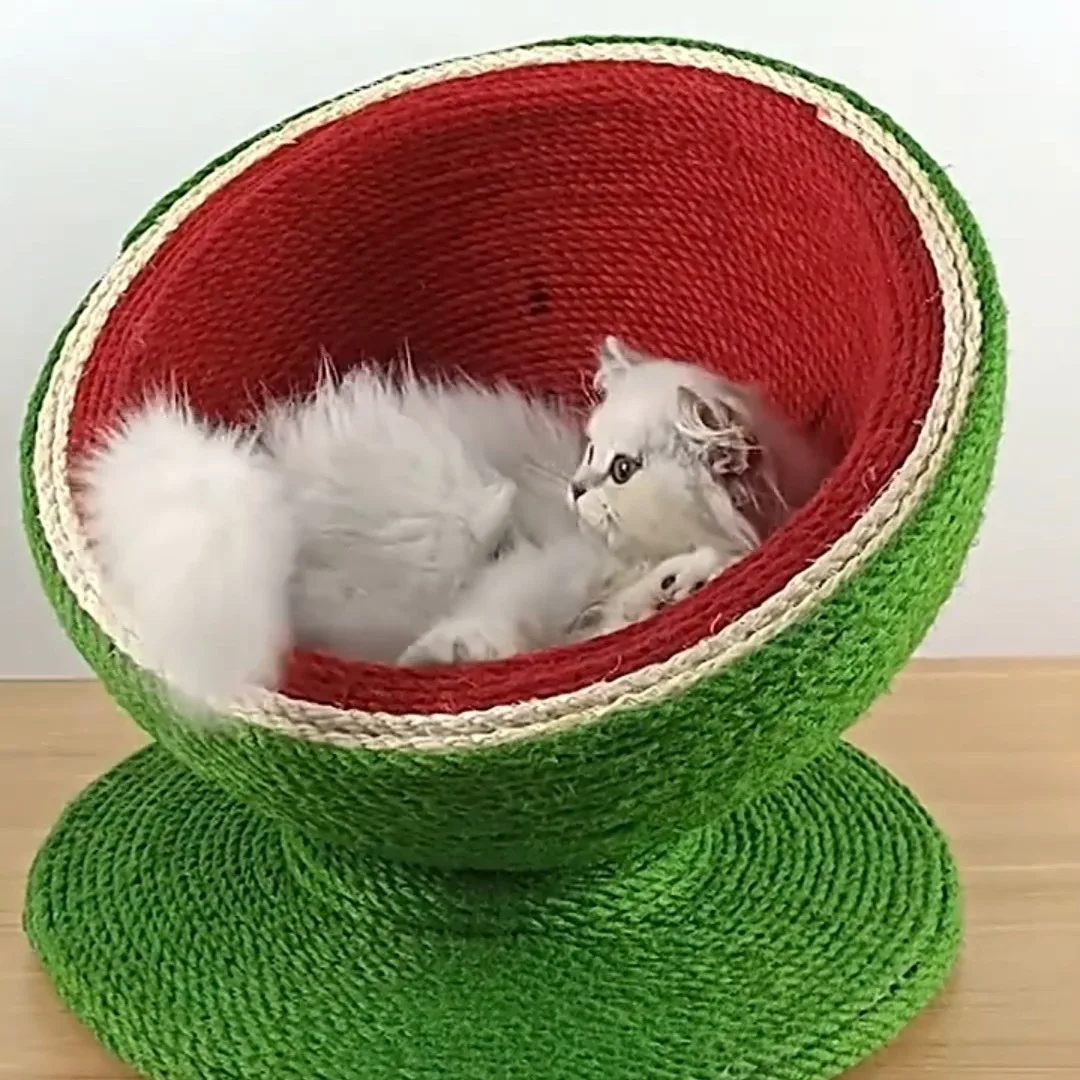 2022 New Design Cat Trees & Scratcher Watermelon Shape Modern Simple