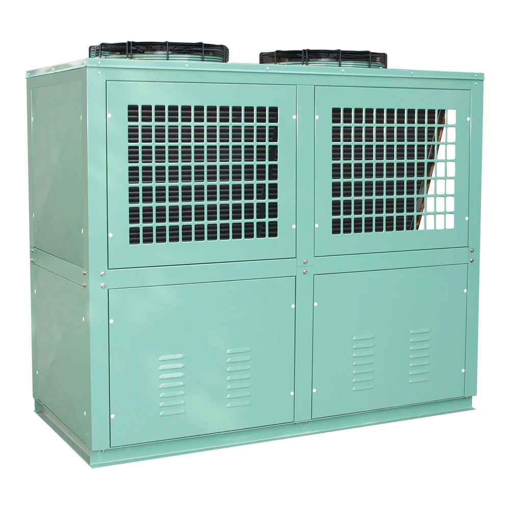 Condensing Unit, 220 V, 2*460w - detail 8