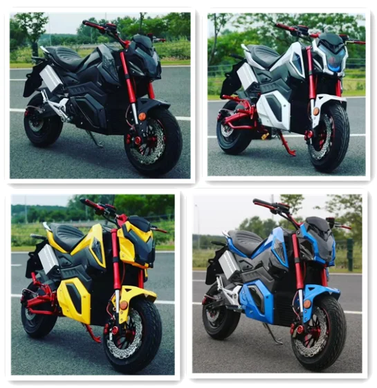 Hot Selling Adult Two Wheel Electric Motorcycles and Mountain Electric Vehicles Made in China