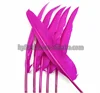Fushia