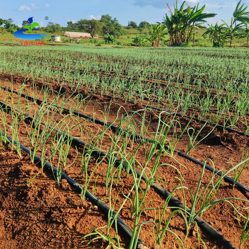 Automatic Smart Water Irrigation System for Big Farm Drip Irrigation Pipes