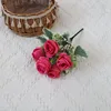 Rosa palo