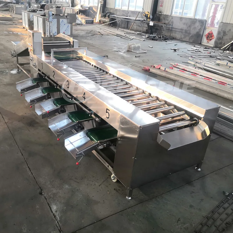 Blueberry Fruit Sorting Grading Machine with Motor Food Grade Stainless Steel 1-3 Tons/Hour Capacity
