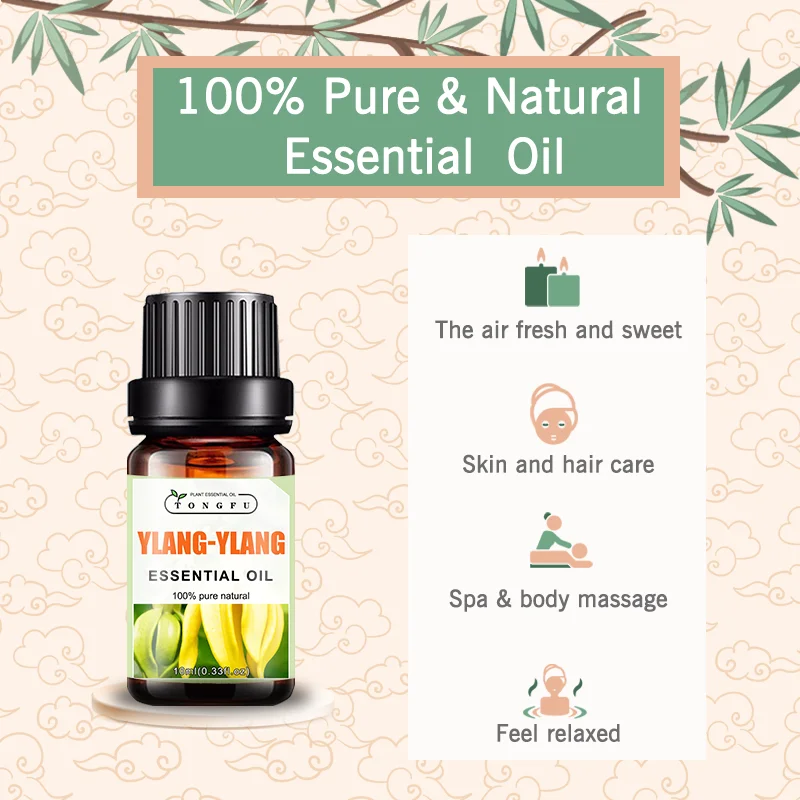 Sexy Öl Ylang Ylang reines und natürliches ätherisches Öl OEM mit