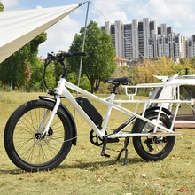 Electric Utility Bike long range dual battery electric cargo bike Multifaceted cargo ebike UL2271 E Bike Battery Certification