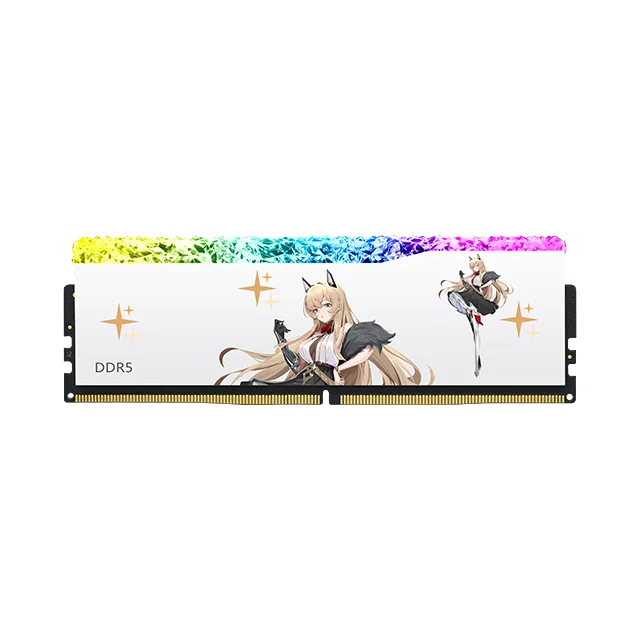 Asgard DDR5 16GB 6000mhz RAM Memory ECC Function for Desktop