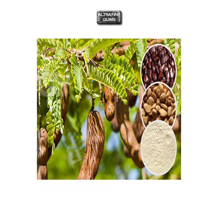 Trusted Seller Of Organic Tamarind Tamarindus Indica Seed Powder For Food Beverage Factory Buy Tamarind Powder Tamarind Seed Powder Tamarindus Indica Product On Alibaba Com