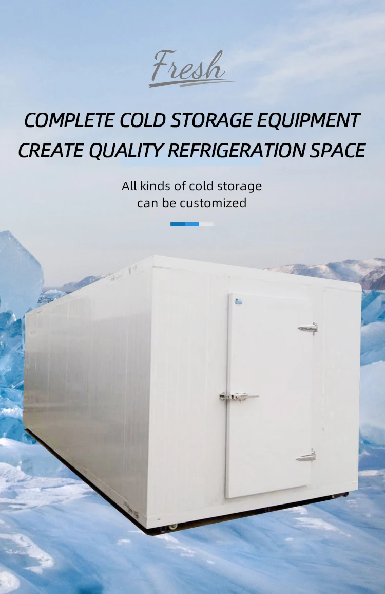 Customized Freezing Easy Disassembly Cold Room And Freezers Freezing ...