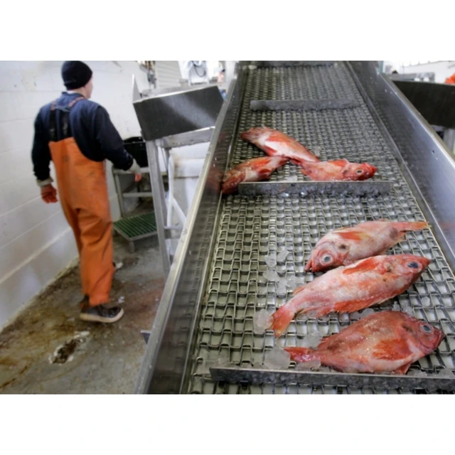 Factory Supply Customized Video Guidance SS304L Fine Welding Accurate Marine Fish Seafood Mesh Belt for Food Belt Conveyor
