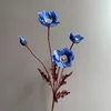 Blu2