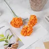 An orange branch