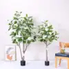 Albero di ortensia viola 6#