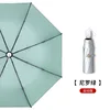 Vert menthe automatique