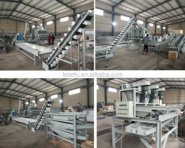 Apricot Kernel Cracking Machine Almond Cracker Walnut Huller Hazelnut Dehusker Shelling Machine