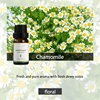 Chamomile