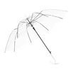 transparente