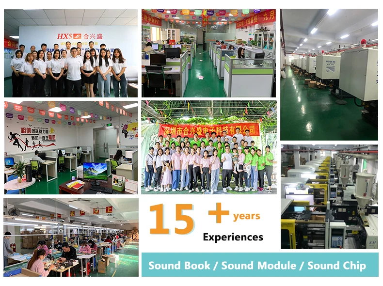 Customized Activation Christmas Music Chip Pre Recorded Sound Voice Chip For Greeting Card