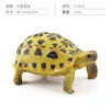 Colorida tortuga estrella india Q9899-S604 147g