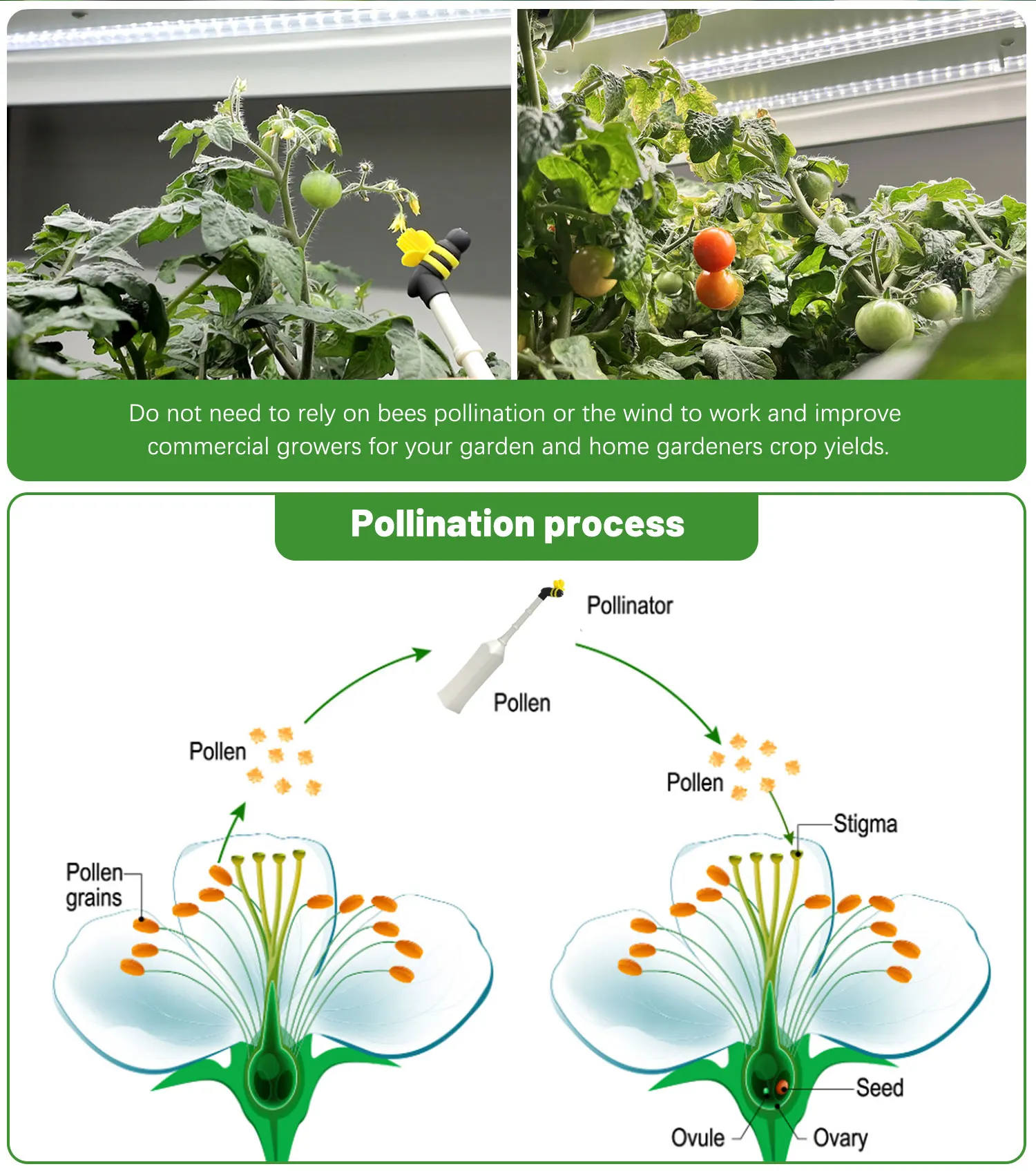 Electric Tomato Bee Pollinator Tool,Eggplant Pepper Flowers Automatic ...