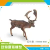 PL127-2831 macho gamo 42G